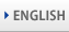 Go to english site